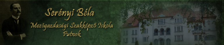 logo 768x155